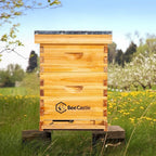 8 Frame Bee Hive Complete Beehive Kit, Beeswax Coated Bee Hive Includes Frames and Beeswax Coated Foundation Sheet (2 Layer)