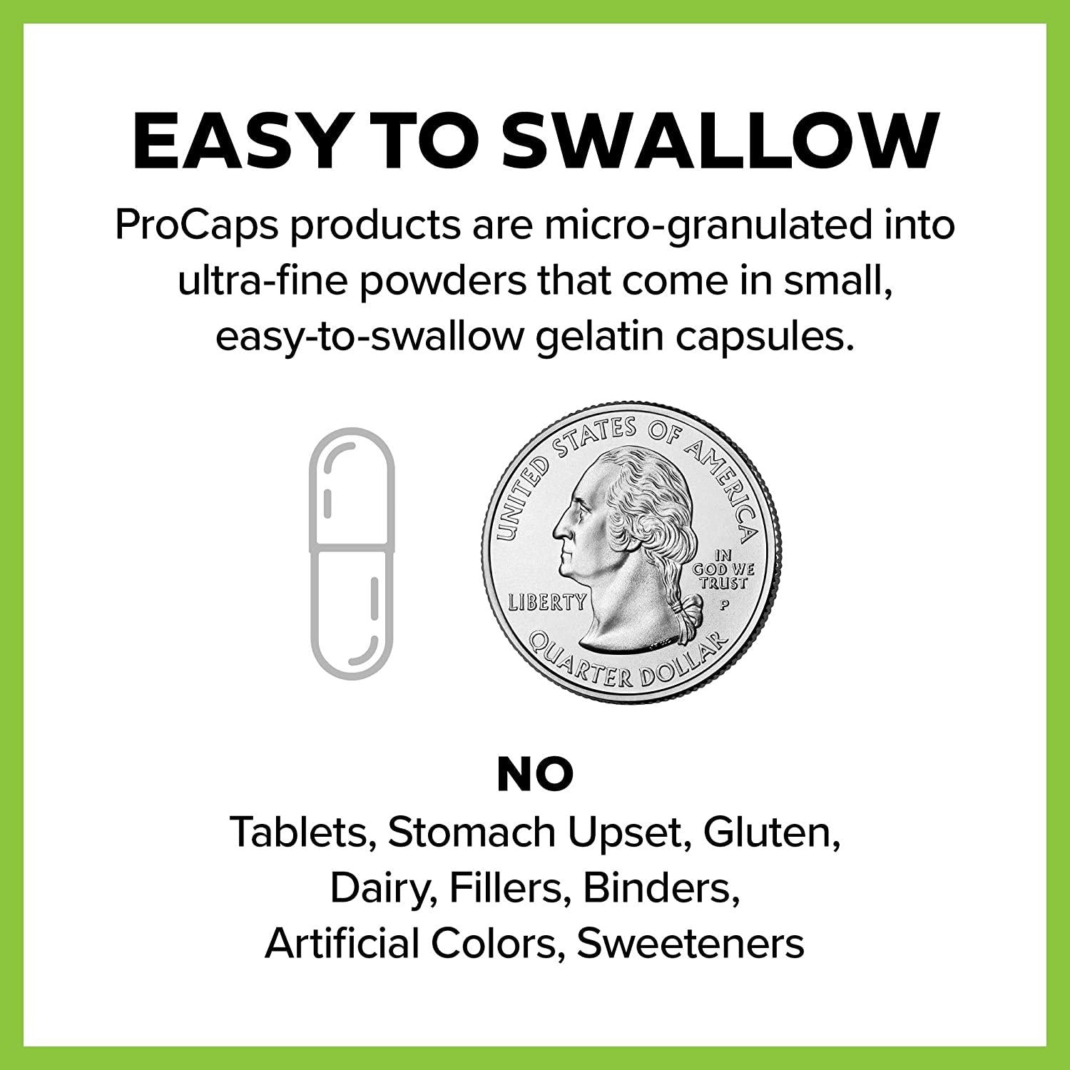 Andrew Lessman Coenzyme Q-10 200 Plus PQQ 20 - 240 Capsules – Maintains CoQ10 Levels, Optimum Cellular Energy, Promotes Energy Production, Supports Heart, Brain, Liver, Kidney, Pancreas. No Additives