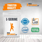 BulkSupplements.com L-Serine Powder - Brain Supplement - Memory Supplements - Amino Acid Supplement (5 Kilograms - 11 lbs)