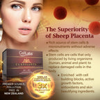 CellLabs CLASSaaNTA Sheep Placenta Live Stem Cell | Immunity Booster | Brain Memory Vitamins | Skin Beauty Anti Aging Formula | 2 Months Supply
