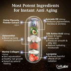 CellLabs CLASSaaNTA Sheep Placenta Live Stem Cell | Immunity Booster | Brain Memory Vitamins | Skin Beauty Anti Aging Formula | 2 Months Supply