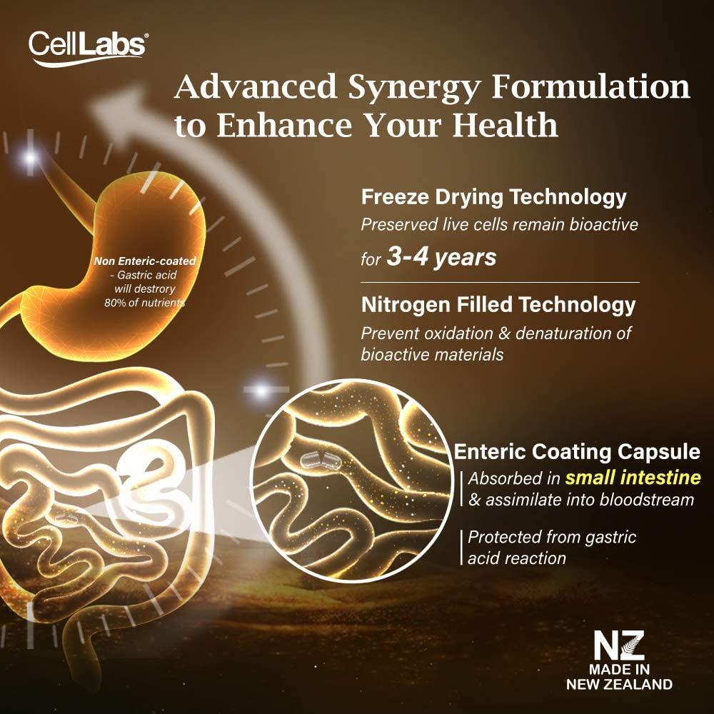 CellLabs CLASSaaNTA Sheep Placenta Live Stem Cell | Immunity Booster | Brain Memory Vitamins | Skin Beauty Anti Aging Formula | 2 Months Supply