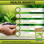 Herbadiet Piperine 95% Powder | Black Pepper Extract Powder 95% by Hplc | Bioavailability Enhancer, Boosts Nutrients Uptake| Gluten Free, Non-GMO Bulk Supplement (350 Gram)