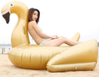 CJJC PVC Inflatable Black Swan Floating Row, Summer Outdoor Swimming Pool Floats Lounger Recliner, Adult Kids Water Toys, 190 X 170 X 120cm