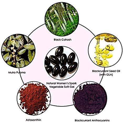Multi Menopause Relief with Four Efficacy Pillars of GLA/ALA Fatty Acids/Blackcurrant Extract/Black Cohosh/Tocotrienols/Mood Swings/Sleep Disturbances/Anxiety/Hot Flashes/Vegan