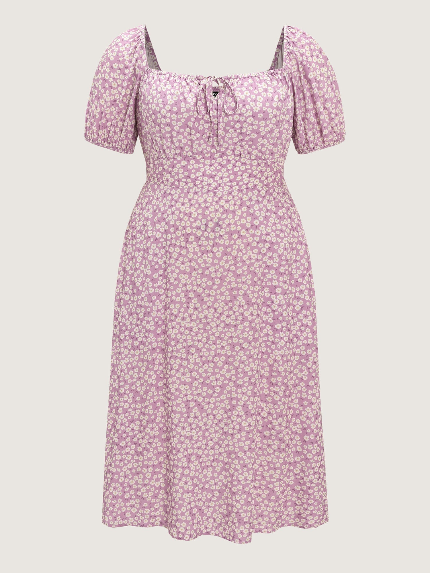 Ditsy Floral Print Cinched Waist Midi Dress