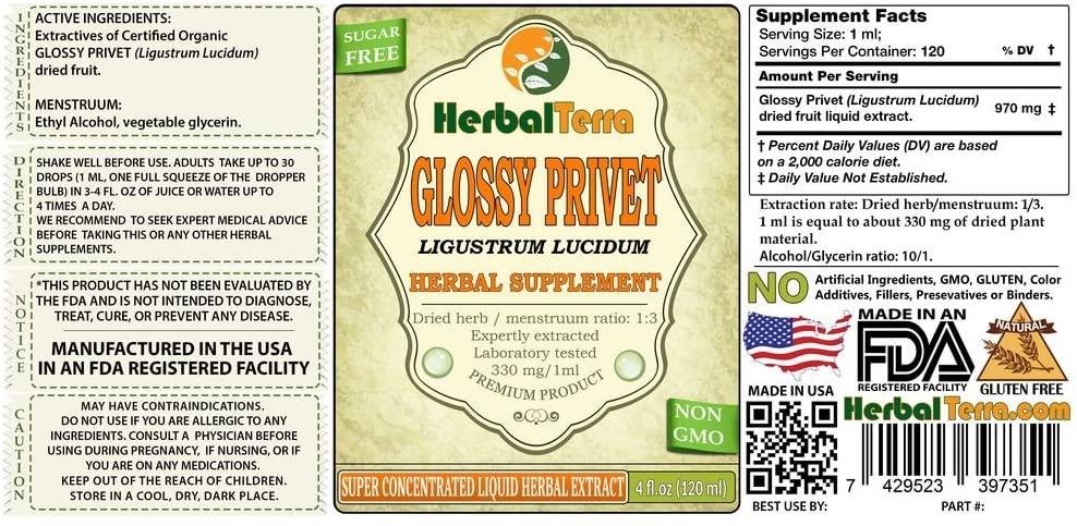 Glossy Privet (Ligustrum Lucidum) Tincture, Organic Dried Fruits Liquid Extract (Brand Name: HerbalTerra, Proudly Made in USA) 20x4 fl.oz (20x120 ml)