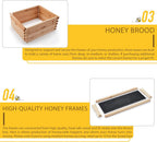TERRADISE Bee Hive, 2 Layer Honey Bee Hives, Beekeeping Supplies Beehive Kit with 10 Medium 10 Deep Honeycomb Foundation Frames, Bee House Bee Boxes for Starter, Wood Complete Honey Beehives Kit