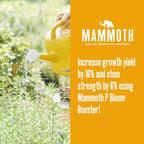 Mammoth P Bloom Booster & Enhancer - Plant Nutrients for Increased Growth & Yield (500 Milliliters)