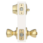 Tylo Polished Brass Exterior Entry Door Knob and Single Cylinder Deadbolt Project Pack