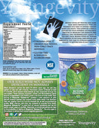 Healthy Body Brain and Heart Pak 2.0