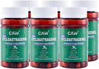 CAW Nano Cycloastragenol 10mg 30 Caps 6 Bottles Anti Aging Telomerase Activation Supplement…
