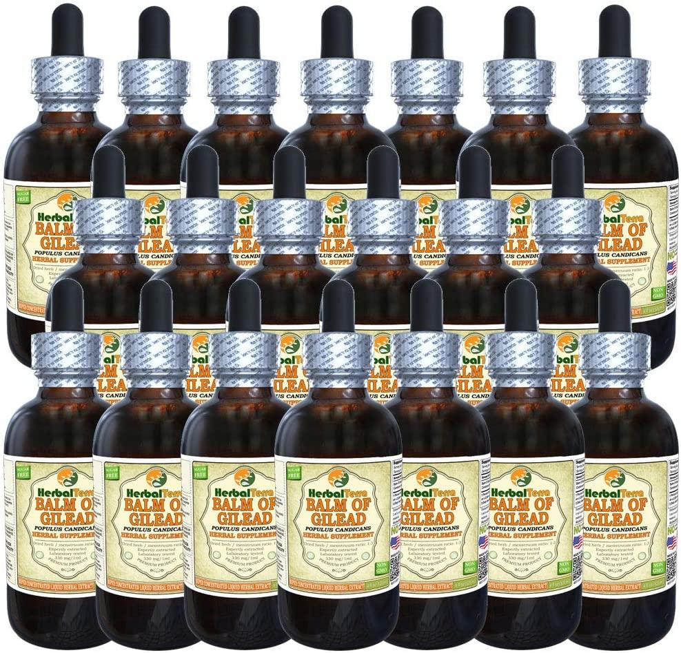 Balm of Gilead (Populus candicans) Tincture, Organic Dried Buds Liquid Extract (Brand Name: HerbalTerra, Proudly Made in USA) 20x4 fl.oz (20x120 ml)