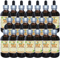 Balm of Gilead (Populus candicans) Tincture, Organic Dried Buds Liquid Extract (Brand Name: HerbalTerra, Proudly Made in USA) 20x4 fl.oz (20x120 ml)