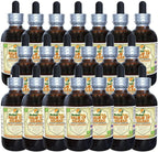 Balm of Gilead (Populus candicans) Tincture, Organic Dried Buds Liquid Extract (Brand Name: HerbalTerra, Proudly Made in USA) 20x4 fl.oz (20x120 ml)