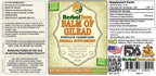 Balm of Gilead (Populus candicans) Tincture, Organic Dried Buds Liquid Extract (Brand Name: HerbalTerra, Proudly Made in USA) 20x4 fl.oz (20x120 ml)