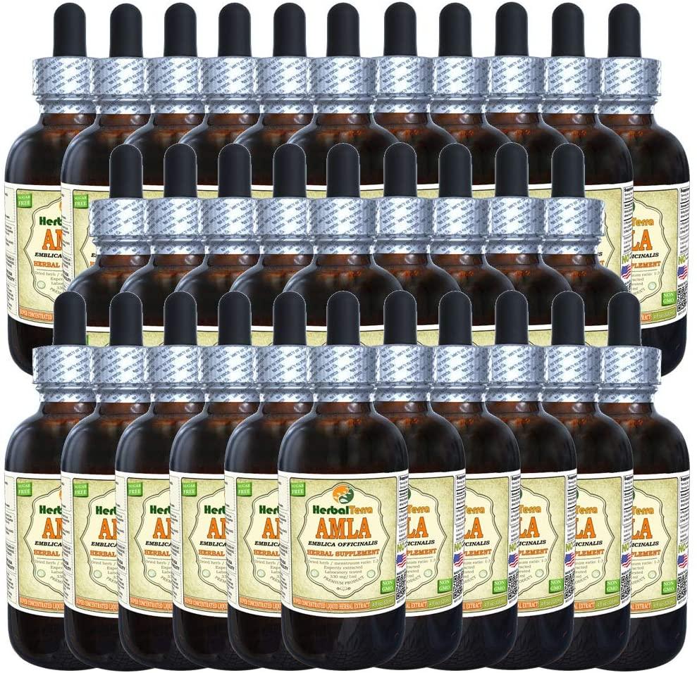 Amla (Phyllanthus Emblica) Tincture, Organic Liquid Extract (Brand Name: HerbalTerra, Proudly Made in USA) 30x2 fl.oz (30x60 ml)