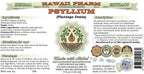 Psyllium Alcohol-Free Liquid Extract, Psyllium (Plantago Ovata) Seed Glycerite Natural Herbal Supplement, Hawaii Pharm, USA 64 fl.oz