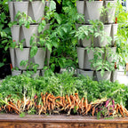 GreenStalk Patented Large 5 Tier Vertical Garden Planter with Patented Internal Watering System Great for Growing a Variety of Strawberries, Vegetables, Herbs, & Flowers (Stunning Stone)
