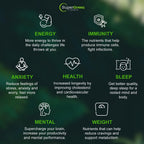 Supergreen Tonik 100% Natural Greens Superfood Powder – Daily Supplement with 38 Superfoods, Vitamins and Minerals – Supports Energy, Stress, Sleep and Immunity – 30 Day Supply – 360 Grams (3 Tubs)