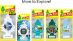 LITTLE TREES Air Fresheners Car Air Freshener. Hanging Tree Provides Long Lasting Scent for Auto or Home. True North, 24 Air Fresheners