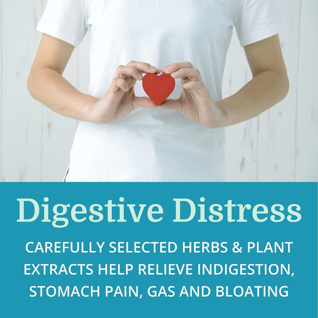 Alka•Cleanse (12 Pack) Morter HealthSystem Best Process Alkaline — Herbal Detox Colon Cleanse & Digestive Distress Formula — Psyllium Husk, Probiotics, Enzymes & Herbs