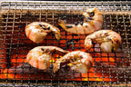 Yakitori BBQ Diatomite Charcoal Grill Barbecue Hibachi Konro Portable 54 x 23cm