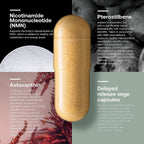 SRW Laboratories Cel² Nourishment | Supports Youthful Cell Function, Healthy DNA, and Healthy Levels of NAD+  | 180 Capsules