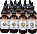 Calamus (Acorus Calamus) Liquid Extract 15x4 oz