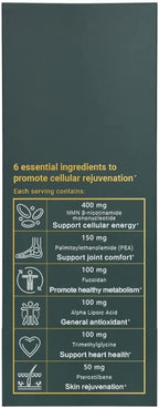 Invity Ultimate NMN 12000 with Levagen® + Pea, Fucoidan, TMG, Alpha Lipoic Acid and Pterostilbene - Instant Energy Boost, Healthy Metabolism, Joint Comfort, Immune Support