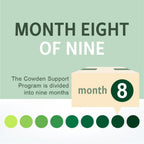 NutraMedix Cowden Support Program Month 8 - Bioavailable Herbal Detox Protocol Including Banderol, Burbur-Pinella, Samento Cat's Claw Tincture, Enula, Parsley, Magnesium & More (14 Piece Set)