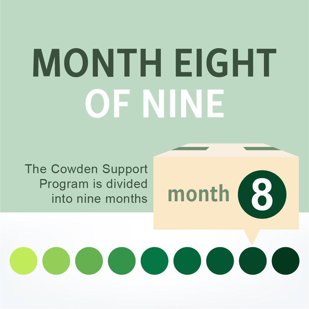 NutraMedix Cowden Support Program Month 8 - Bioavailable Herbal Detox Protocol Including Banderol, Burbur-Pinella, Samento Cat's Claw Tincture, Enula, Parsley, Magnesium & More (14 Piece Set)