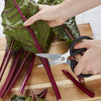 KitchenAid Universal Stainless Steel Shears, Small Utility, Black