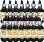 Yin Chen Hao (Artemisia Capillaris) Tincture, Organic Dried Herb Liquid Extract (Brand Name: HerbalTerra, Proudly Made in USA) 20x4 fl.oz (20x120 ml)