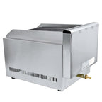 Commercial 2 Burner Gas Pizza Grill  Steel LPG Steak Beefer Gas Grill