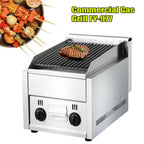 Commercial Gas Grill 2 Burner  Outdoor Garden Barbeque Coo Steel