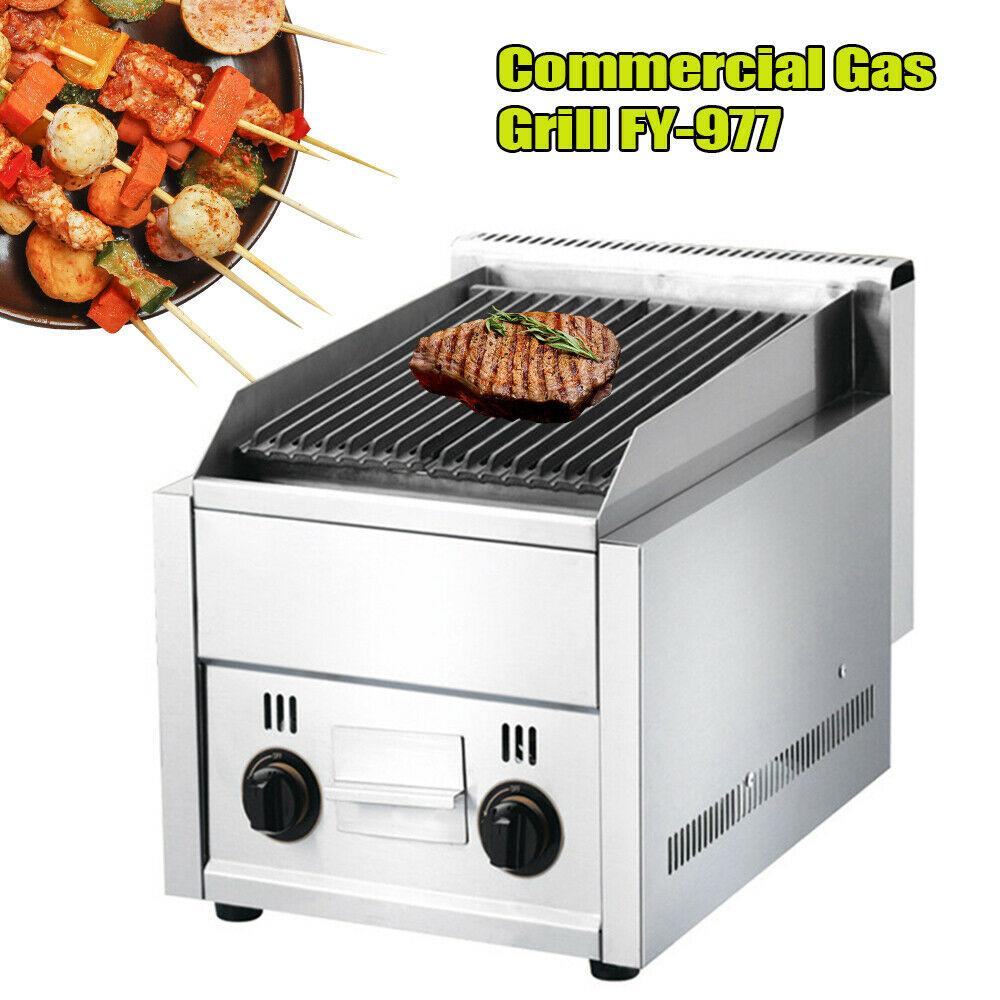 Commercial Gas Grill 2 Burner  Outdoor Garden Barbeque Coo Steel