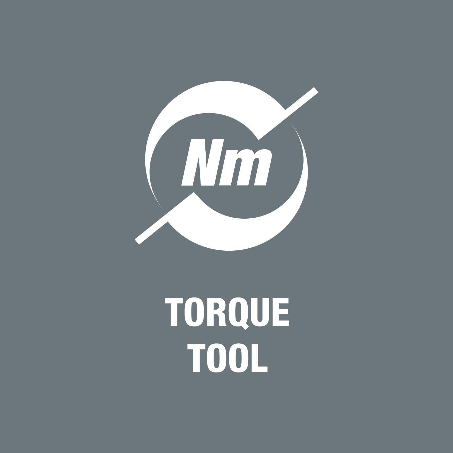 WClick-Torque X 4 torque wrench for insert tools, 14x18 x 40-200 Nm, black/green