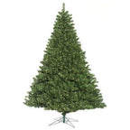 Vickerman 8.5' x 72" Oregon Fir WA 1150LED WmWht - C164181LED