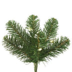 Vickerman 8.5' x 72" Oregon Fir WA 1150LED WmWht - C164181LED