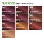 Garnier Hair Color Nutrisse Nourishing Creme, 452 Dark Reddish Brown (Chocolate Cherry) Permanent Hair Dye, 3 Count (Packaging May Vary)