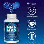 NMN Capsules with Maximum Strength- 500mg Capsule - High Absorption Nicotinamide Mononucleotide Supplement- Supports Brain Function & Anti Aging (600 Count(Pack of 10))