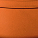 Staub Cast Iron 5.75-qt Coq au Vin Cocotte - Burnt Orange, Made in France