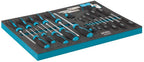 Hazet 163-141/31 Screwdriver set with tool tray insert (31 Piece)