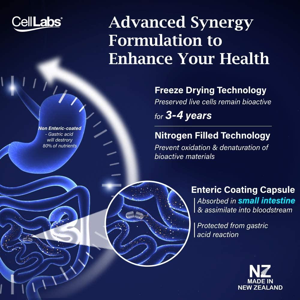 CellLabs Posh D-Centa Fresh Deer Placenta 2000mg Live Stemcell Supplement | Powerful Anti-Aging Formula | Marine Collagen | Immunity Booster | Skin Vitamins | Made from New Zealand 1x Box
