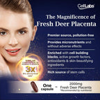 CellLabs Posh D-Centa Fresh Deer Placenta 2000mg Live Stemcell Supplement | Powerful Anti-Aging Formula | Marine Collagen | Immunity Booster | Skin Vitamins | Made from New Zealand 1x Box