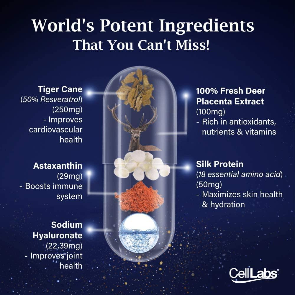 CellLabs Posh D-Centa Fresh Deer Placenta 2000mg Live Stemcell Supplement | Powerful Anti-Aging Formula | Marine Collagen | Immunity Booster | Skin Vitamins | Made from New Zealand 1x Box