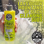 Chemical Guys CWS_402_16BK Car Wash Detailing Bucket, Mitt &amp; Accessories Bundle (6 Items) Featuring Mr. Pink Foaming Car Wash Soap, 16 fl oz - Works on Cars, Trucks, SUVs, RVs &amp; More