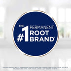 Clairol Root Touch-Up by Nice'n Easy Permanent Hair Dye, 2 Black Hair Color, (Pack of 2)