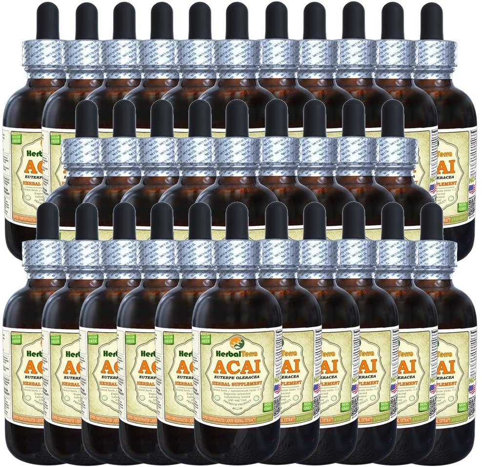 Acai (Euterpe oleracea) Tincture, Organic Berries Liquid Extract (Brand Name: HerbalTerra, Proudly Made in USA) 30x2 fl.oz (30x60 ml)